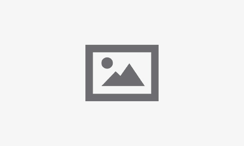 Como Funciona o Mercado de Ações e a Bolsa de Valores?