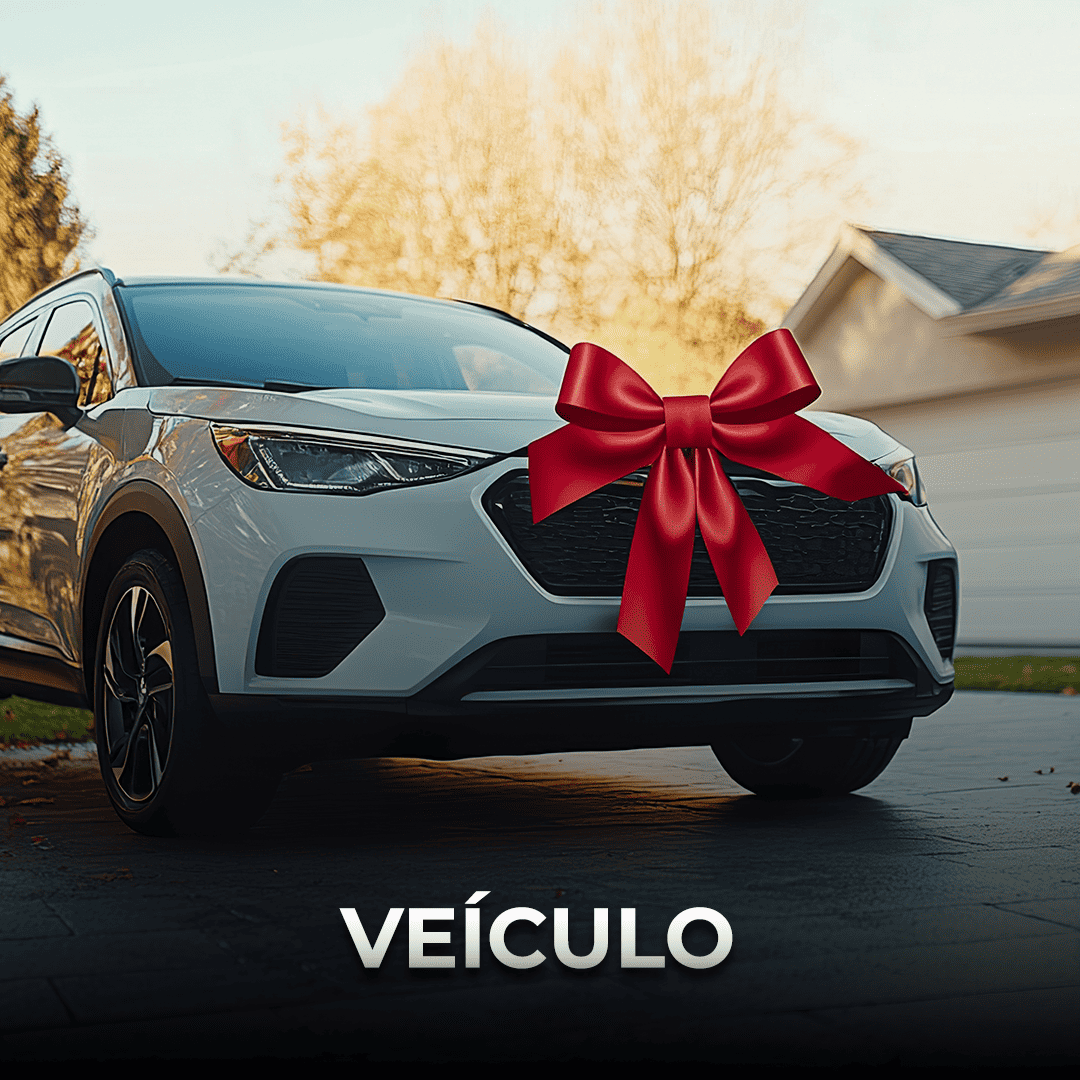 Veiculo