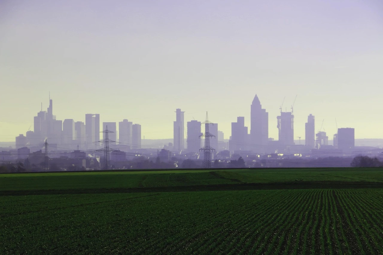 Skyline urbano ao fundo e plantação em primeiro plano, representando os lastros imobiliário e agro da LCI e da LCA